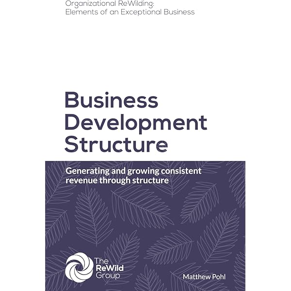 Amazon.com: Business Growth Framework: Creating organizational